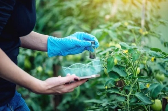 National workshop on genome editing discusses advancements in research