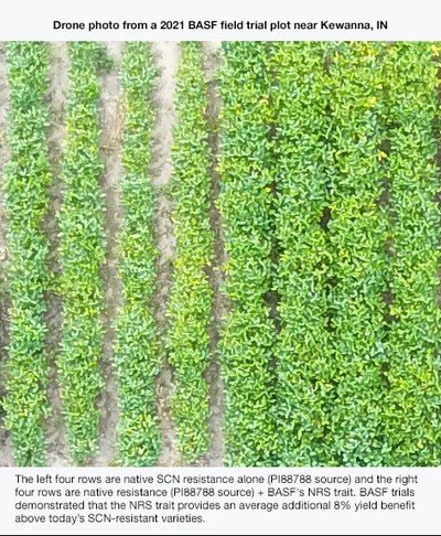 Corteva, BASF & MS Technologies partners to bring industry-first soybean trait stack in US, Canada