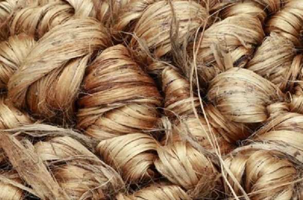 Centre decides to lift price capping of raw jute 