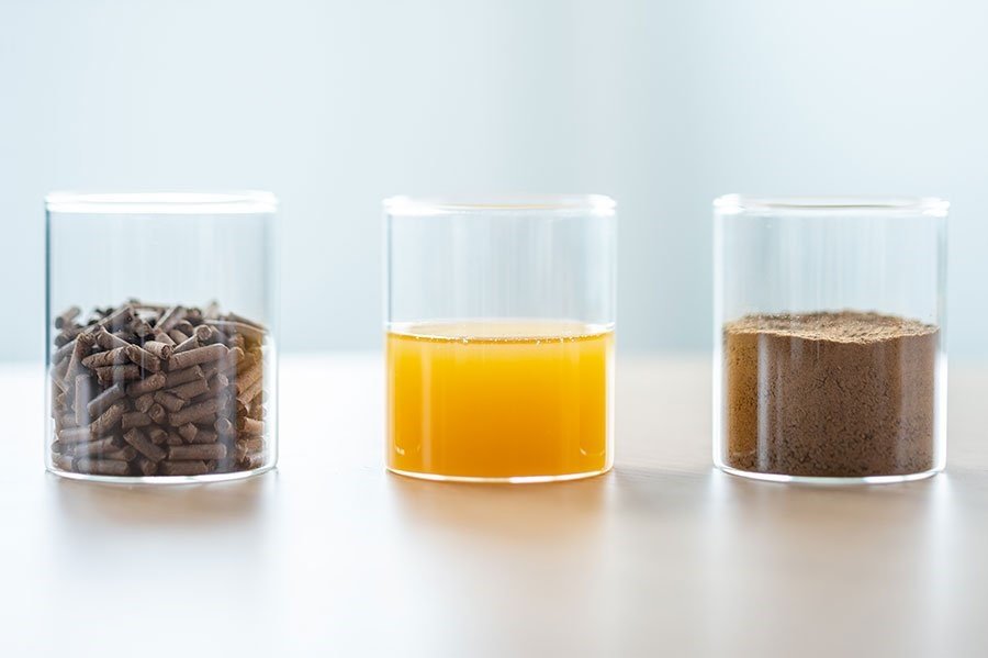 Innovafeed & Cargill to bring healthy novel ingredients to aquafarmers
