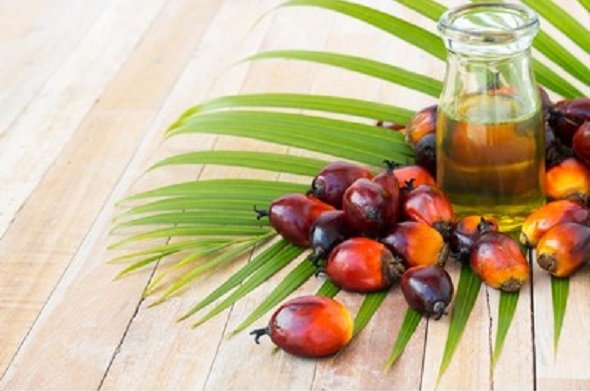 CPOPC presents achievements and advances in the field of palm oil production