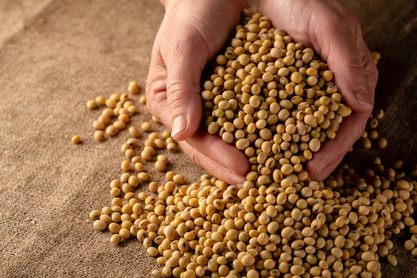 Seed Treatment Machinery market to hit $ 1.53 Bn by 2029