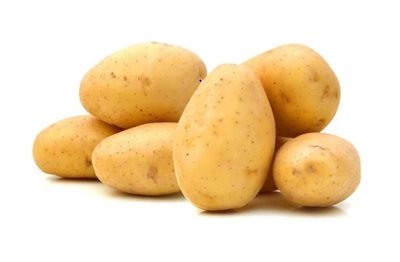 Bayer launches geodata-driven early warning system for late blight in potatoes