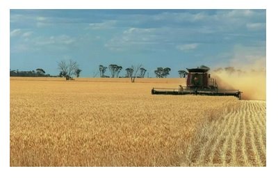 InterGrain with Inari to deliver step-change in wheat yield potential