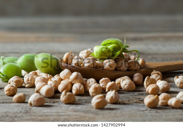 ICRISAT showcases Chickpea germplasm to key researchers in India