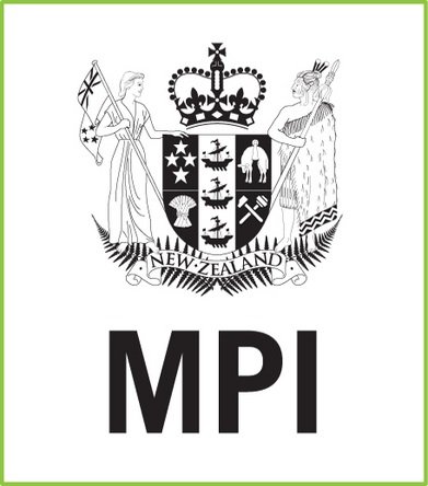 Acoustic wool panels the latest innovation for New Zealand strong wool