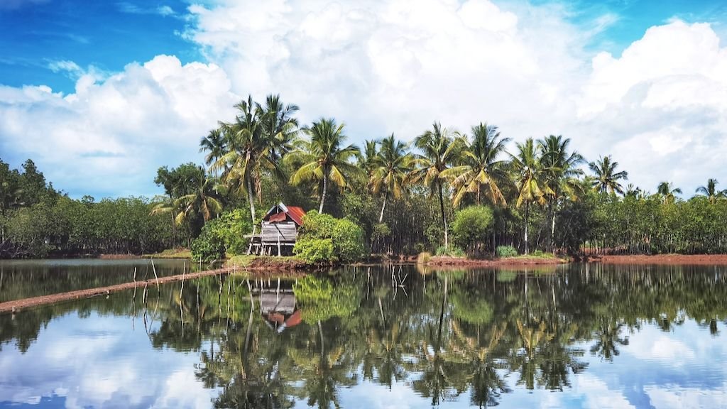 ADB approves $93 Mn loan for Indonesia's shrimp farming