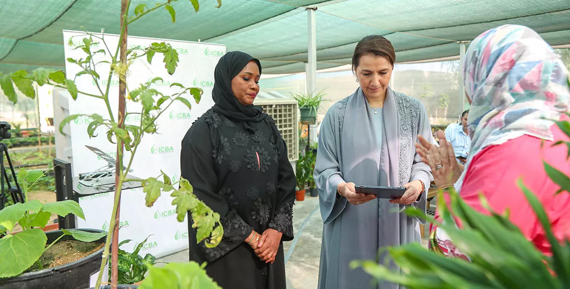 ICBA launches AI-powered mobile app for crop disorders detection