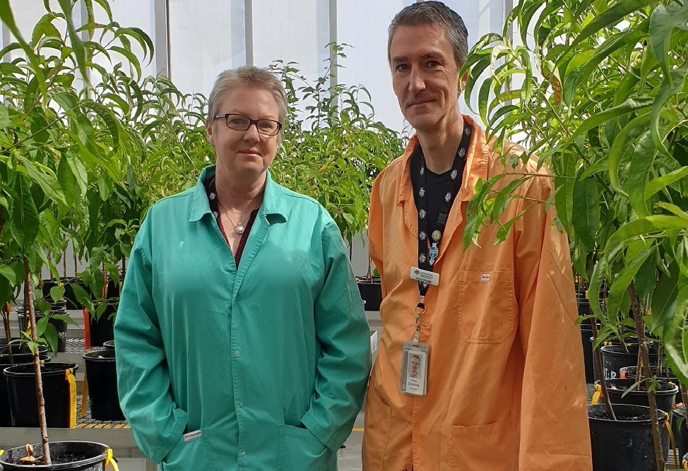 Australia uses HTS technology to identify viruses on exotic plant
