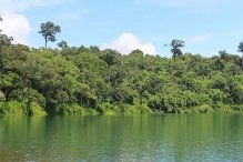 IUCN and FAO to lead flagship forest programme in Southeast Asia
