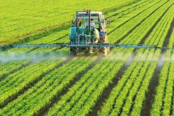 New Zealand and Ireland to cooperate to reduce agricultural emissions