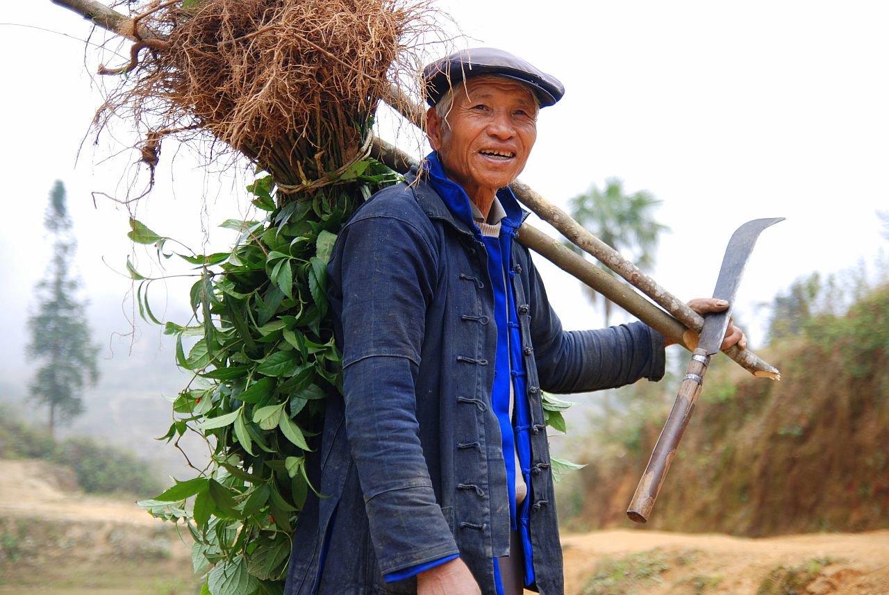 China's agriculture, related industries account for 16.05% of GDP