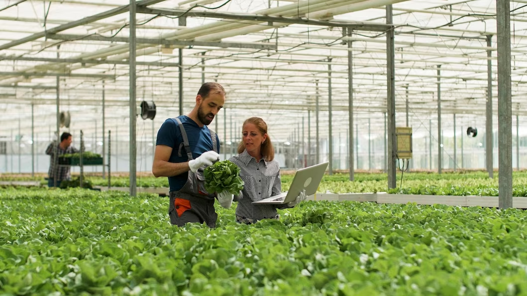 FAO and SEED launch SDG Agrifood Accelerator Programme for global innovators