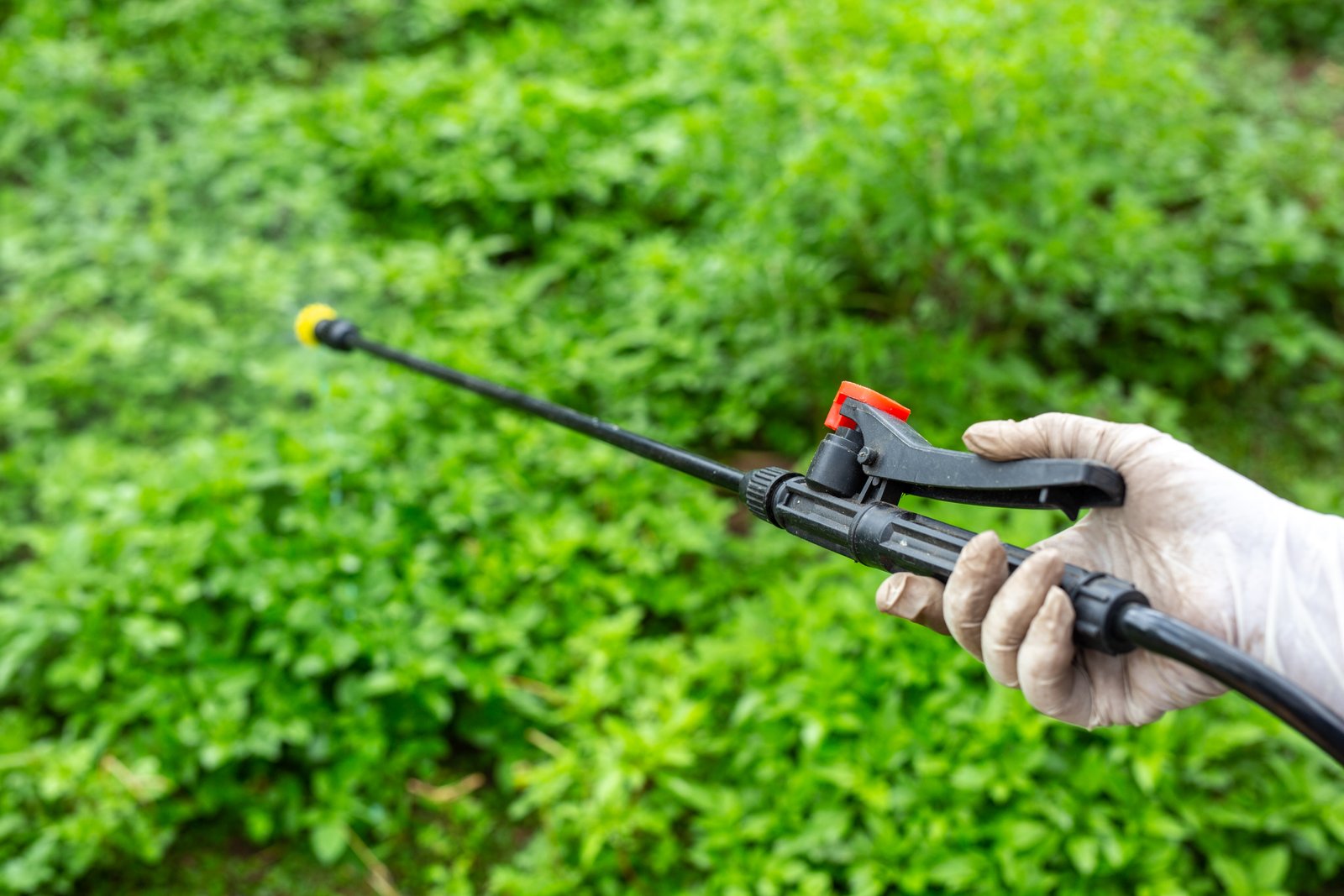 Corteva Agriscience launches new fungicide solution in Canada