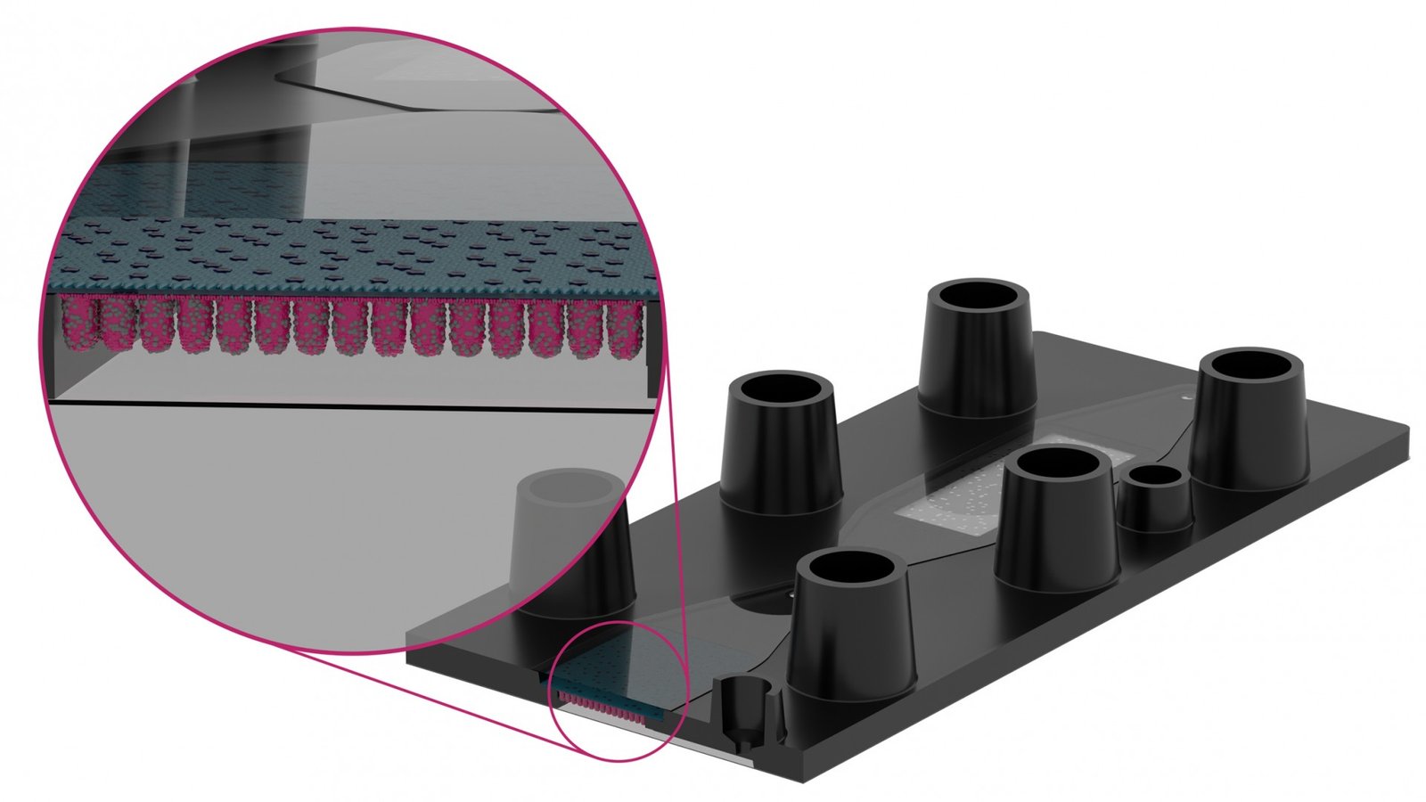 Bayer develops a organ-on-chip platform to reduce animal testing in healthcare