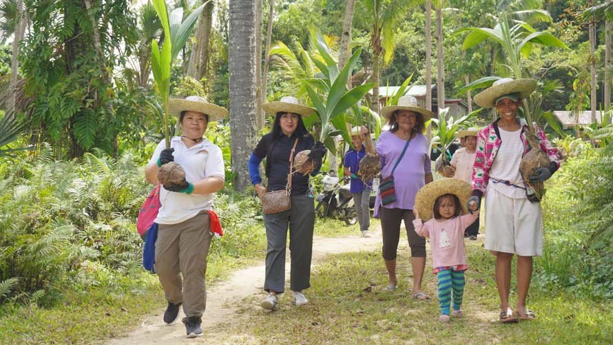 Cargill, CARE partners lead the replanting of 100,000 coconuts in Philippines