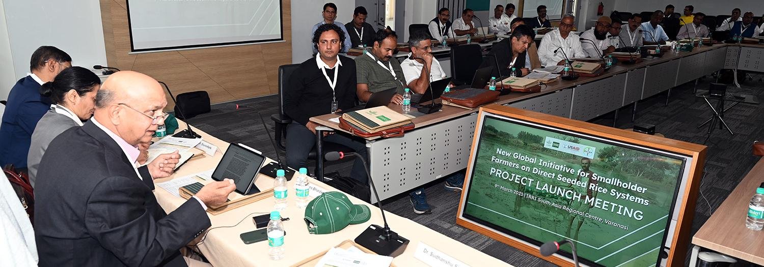 IRRI, USAID, &amp; Bayer launches global DSR initiative “Scale Direct” for Asian and African farmers