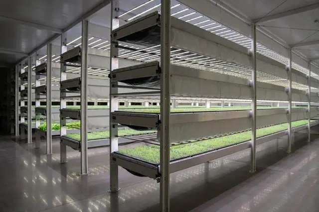 <strong>ADQ AgTech Park launches vertical farming project in UAE</strong>