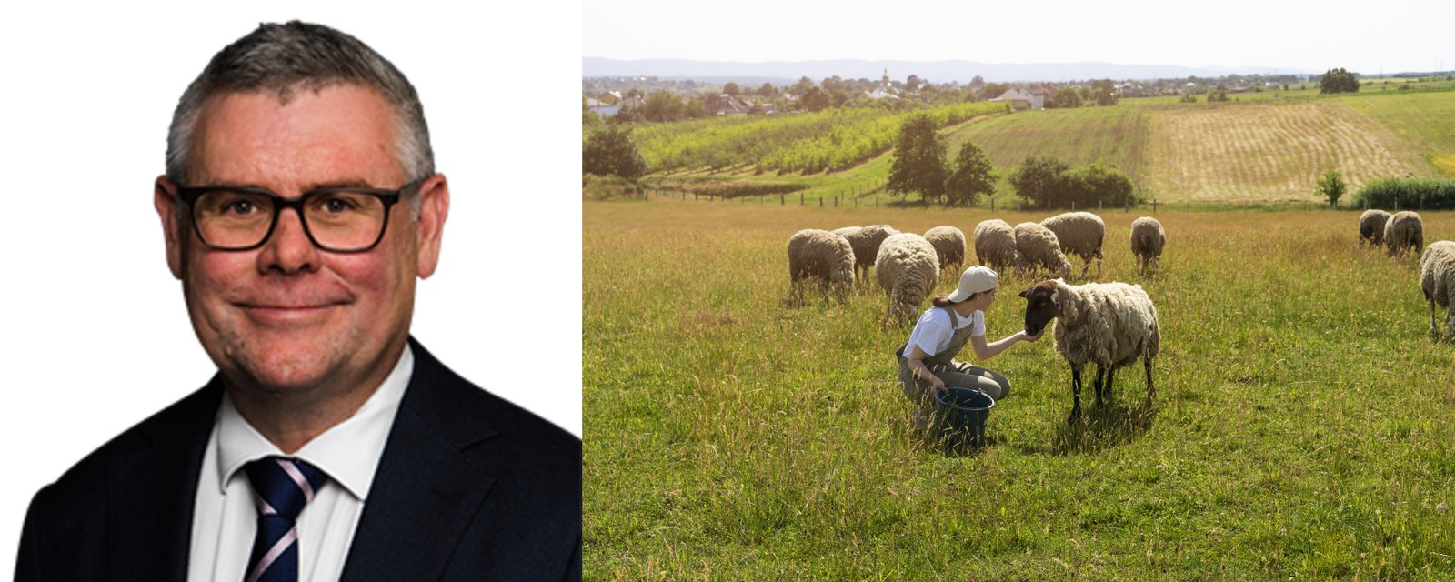 Australia grants AU$2M for drought resilience  and to boost livestock profitability