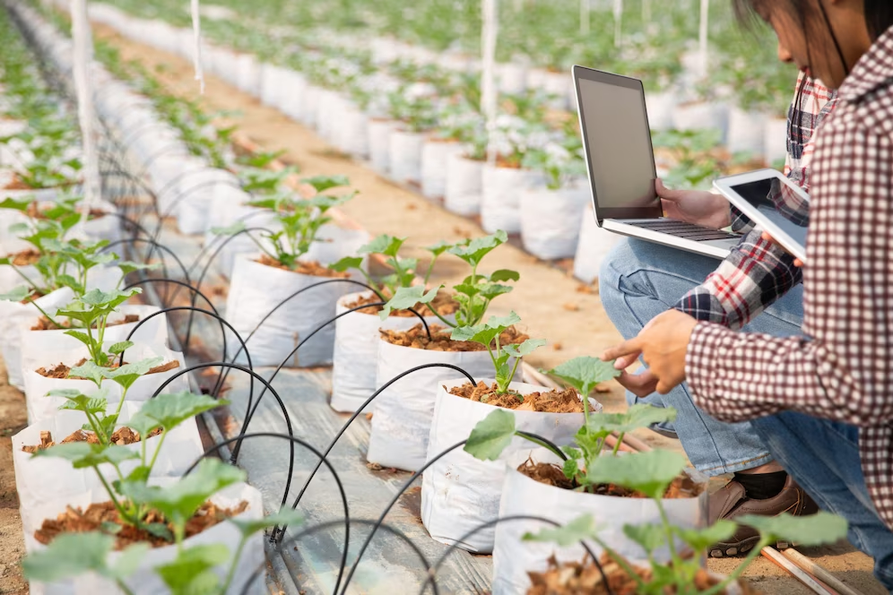 Indonesia launches national strategy for digitizing agriculture
