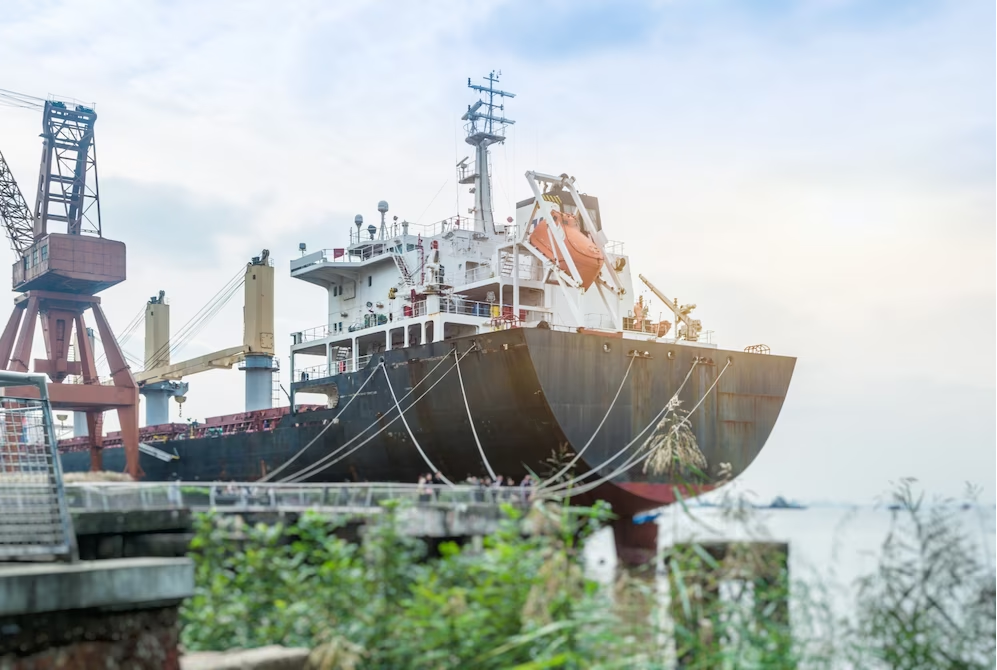 Ping An launches first ocean carbon sink index insurance policy in China