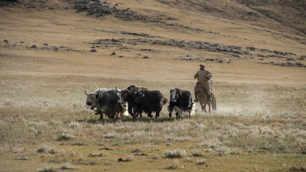<strong>ADB to help green and inclusive agribusiness in Mongolia</strong>