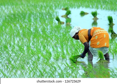 Bayer pledges to help tackle global water crisis with new water strategy