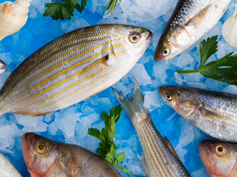 The FAO pledges to support Pacific Strategic Plan for Agricultural & Fisheries Statistics