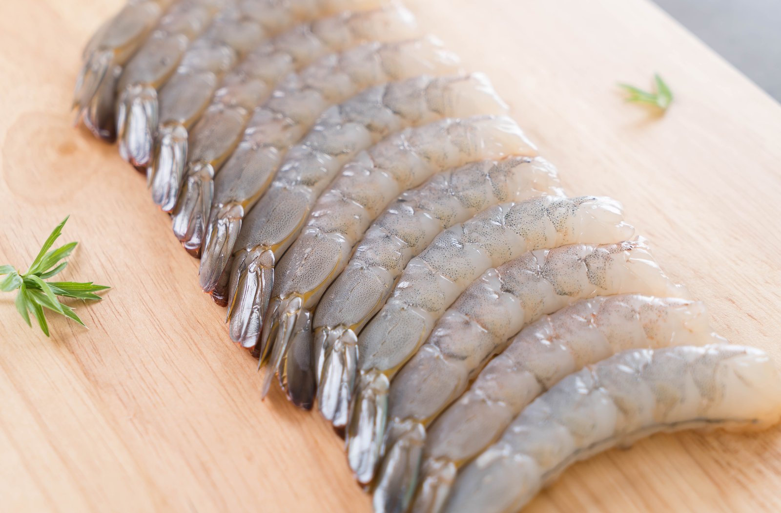 GSFF embarks on protecting the global shrimp industry