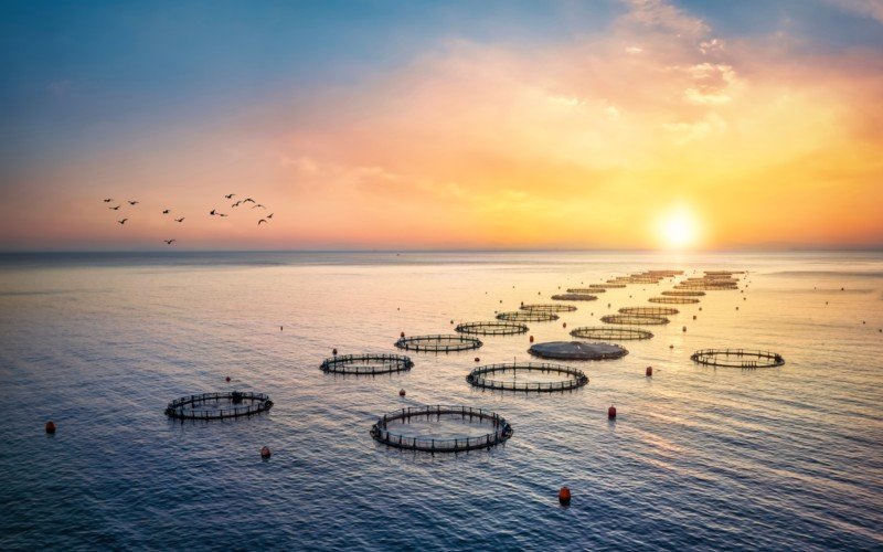 Aker Biomarine to combine unmanned vessel and big data to catch krill more efficiently