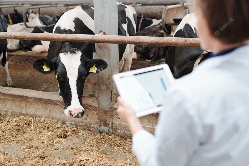 South Korea's Amicogen to develop novel therapies for Mastitis in dairy cows
