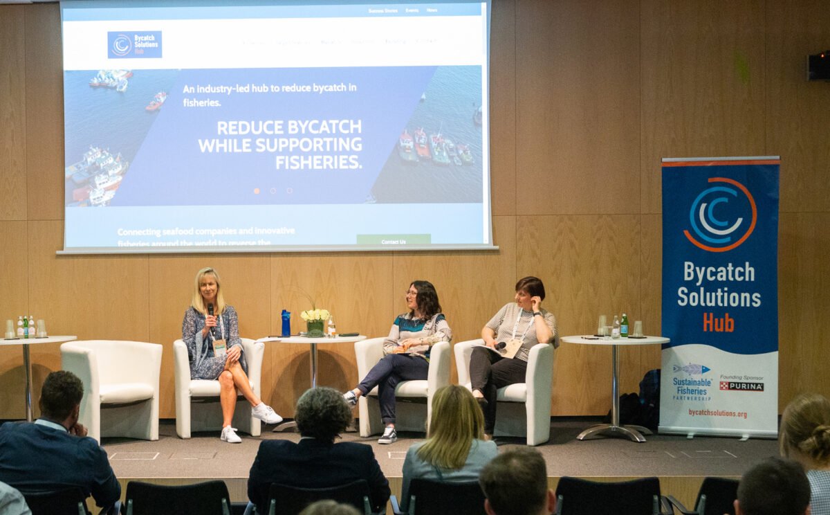 Digital Hub connecting global seafood retailers, businesses launched by SFP, Purina Eu