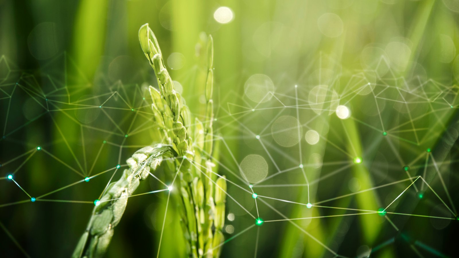 China emphasizes investment and development in agricultural technology