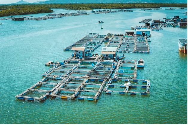 China prioritizes agriculture, fishery cooperation with Pacific island countries