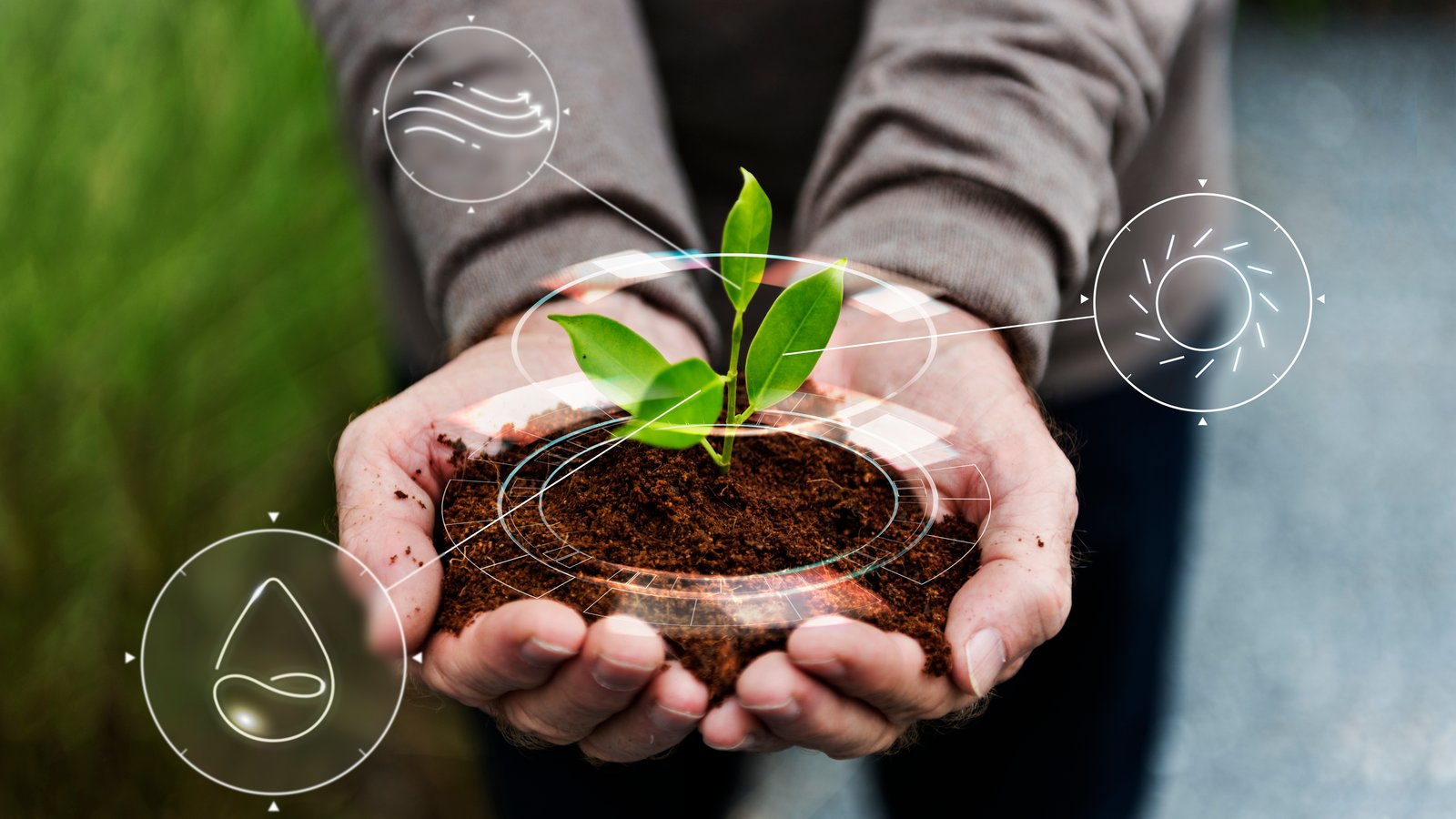 Global Food Systems Innovation, Climate-Smart Agri Initiatives gain strength at AIM