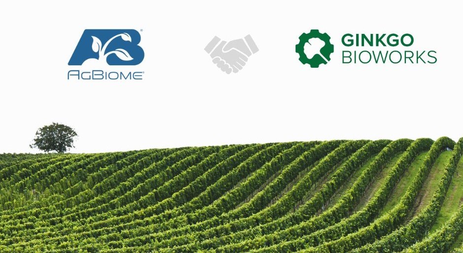 AgBiome, Ginkgo's to optimize Agricultural Biological by unlock efficient microbial strain pipeline