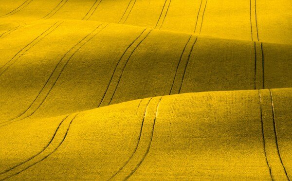 Norway approves Aquaterra Omega-3 Oil for use in aquafeed
