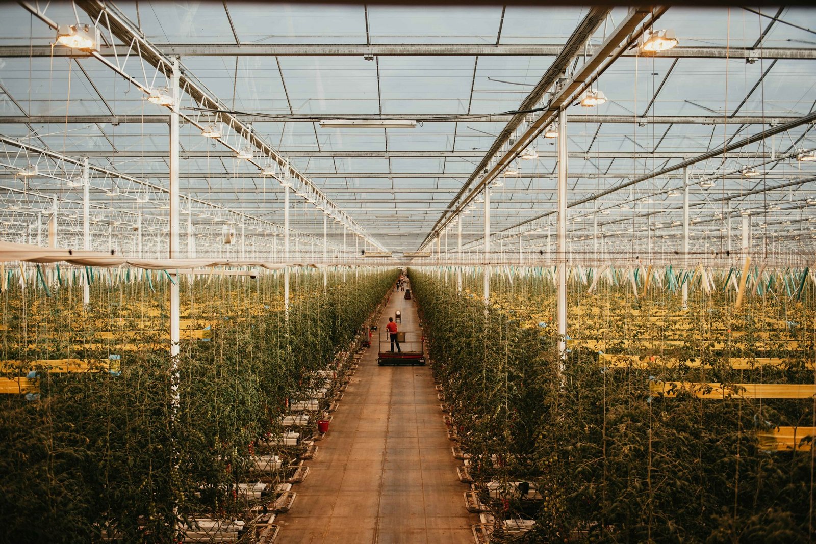 S.Korea's SK networks invests $2M in AI Farming Startup 'Source.ag'