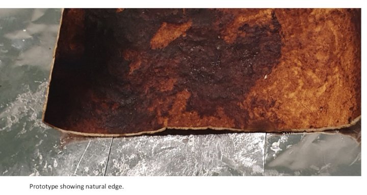 New Zeeland's start-up produces world's most sustainable leather from fungi