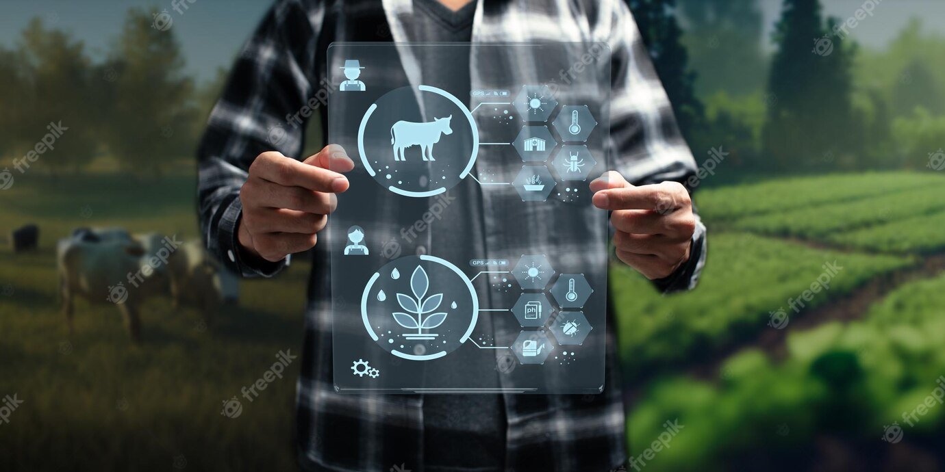 Revolutionary cotton grains cattle program to boost livestock nutrition & farming sustainability 