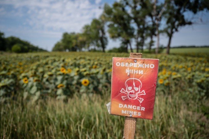 FAO and WFP join forces to help farmers resume production in Ukraine