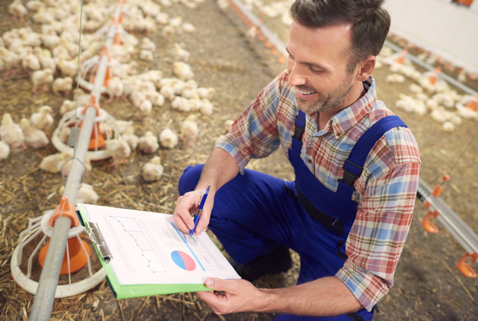 WOAH’s Animal Health Forum reshapes avian influenza prevention and control strategies