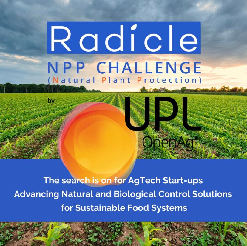 AgTech and Food-Tech Start-ups to compete in global Radicle NPP Challenge