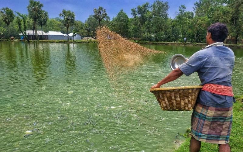 Aquaculture in Bangladesh – more than just a load of carp
