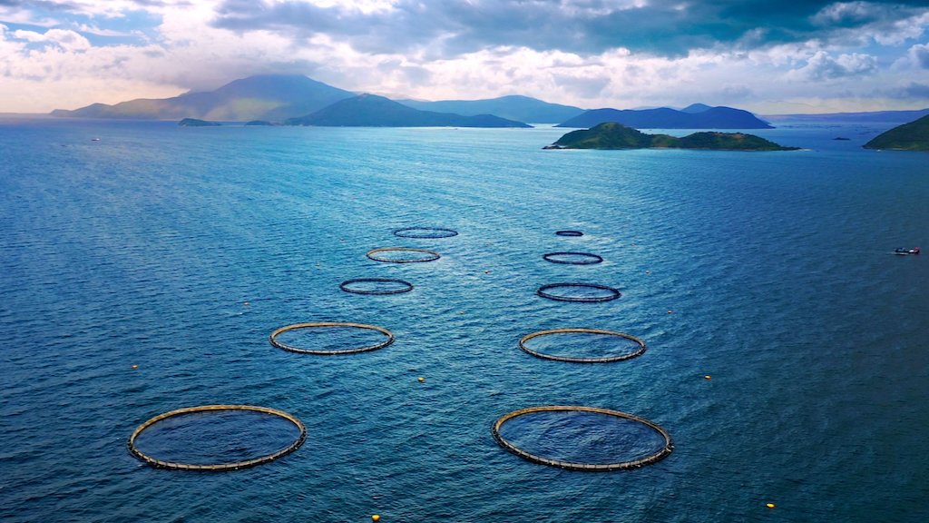 ADB supports Australis for ocean-based aquaculture in Vietnam