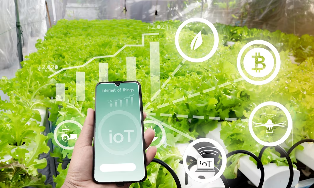 Malaysia implements Entrepreneur development programs with digital tech ties in Agriculture