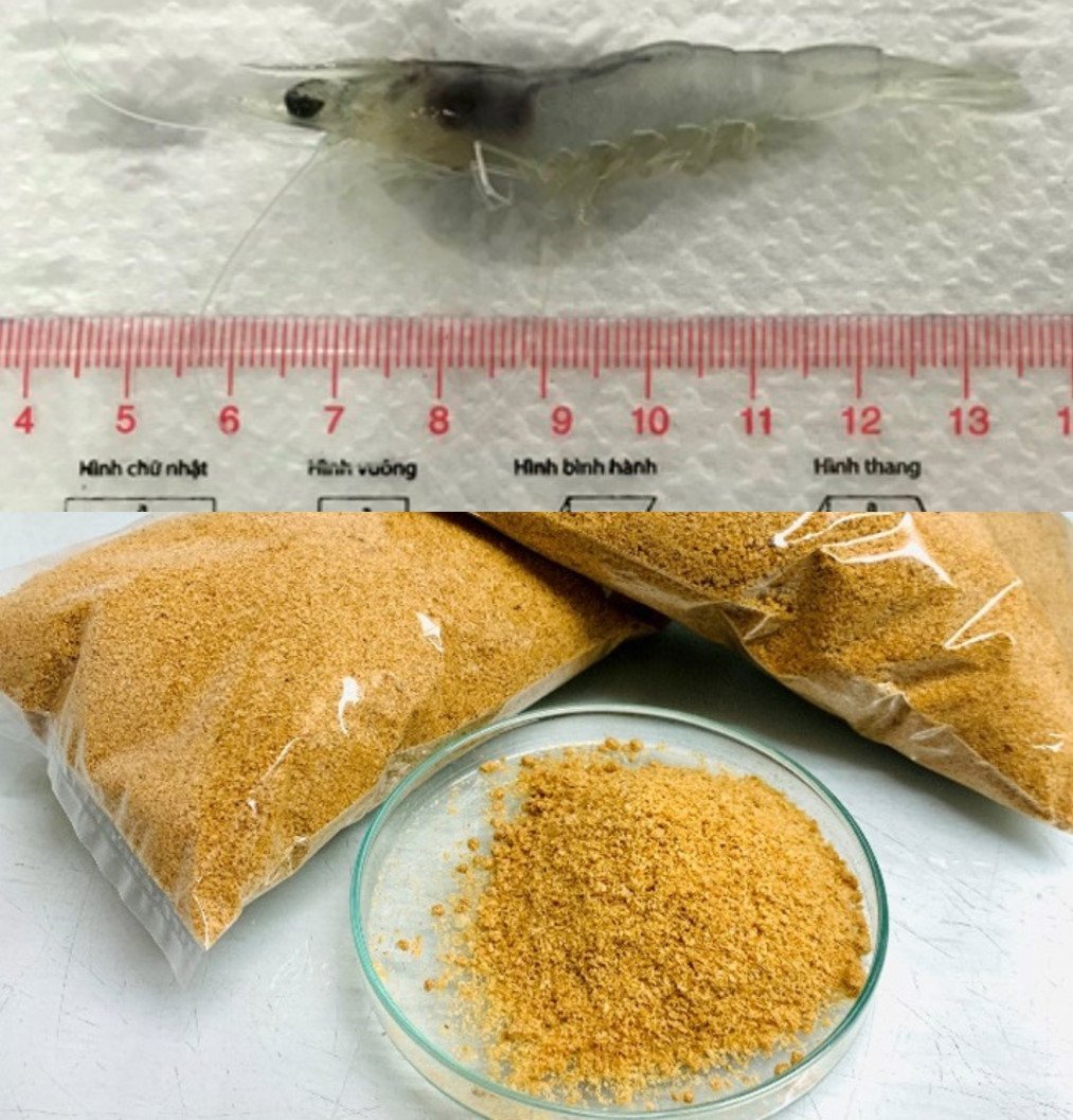 Vietnam project produces synbiotic soybean derived feed for white leg shrimp farming