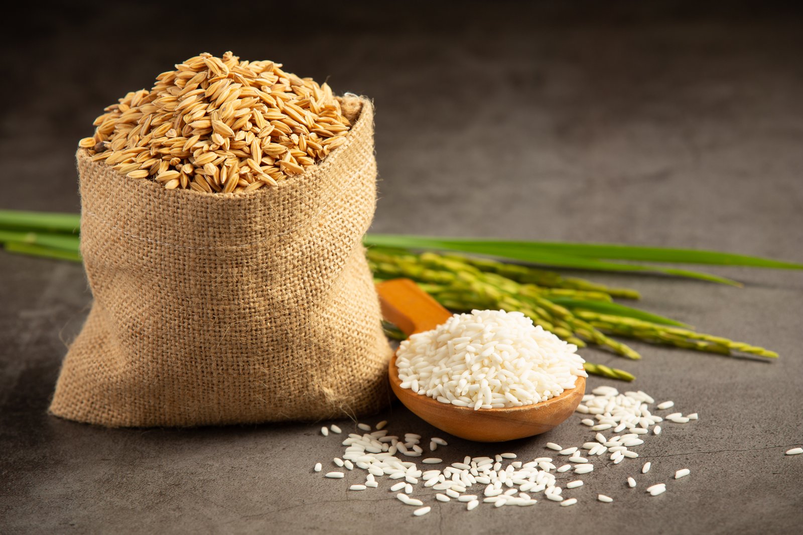 DRRK Foods strengthens global presence as a leading manufacturer and supplier of premium Basmati Rice
