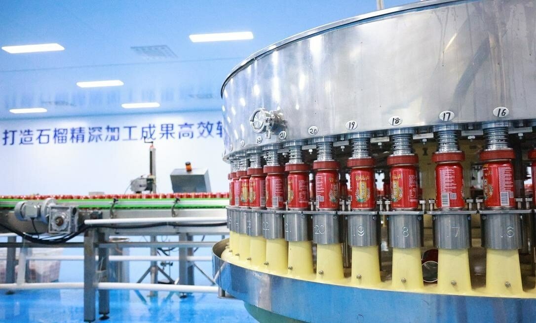 China promotes integrated pomegranate industry development at 2023 Pomegranate Industry Development Conference