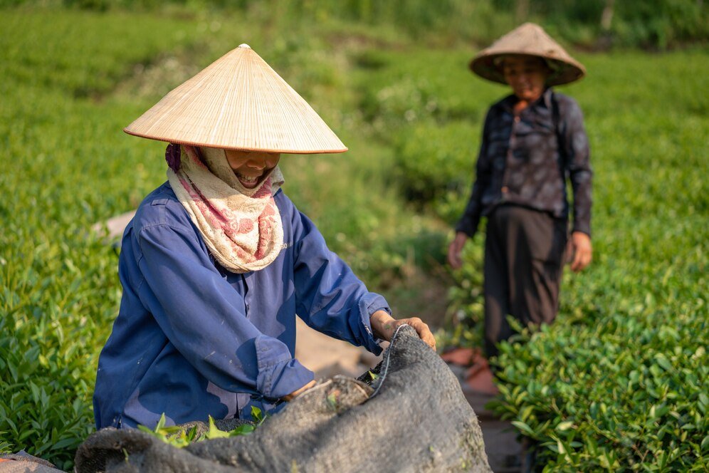 Vietnam's Agro-forestry-fisheries sector witness trade surplus of $9.3B